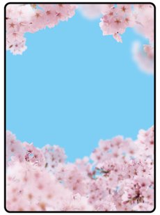 画像1: 桜 マジカルPOP (1)