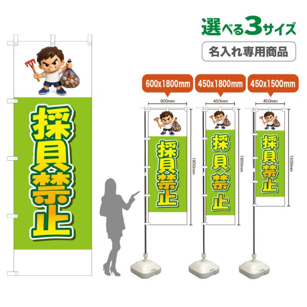 画像1: のぼり旗(名入れ専用商品) 採貝禁止 (黄緑) (1)