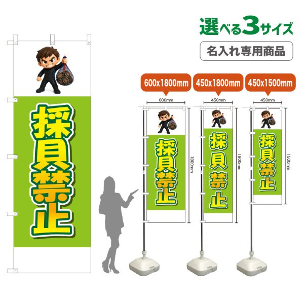 画像1: のぼり旗(名入れ専用商品) 採貝禁止 (黄緑) (1)