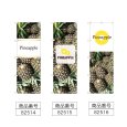 画像2: のぼり Ｐｉｎｅａｐｐｌｅ (選べるデザイン) (2)
