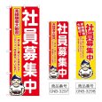 画像1: のぼり 社員募集中 (選べるデザイン) (1)