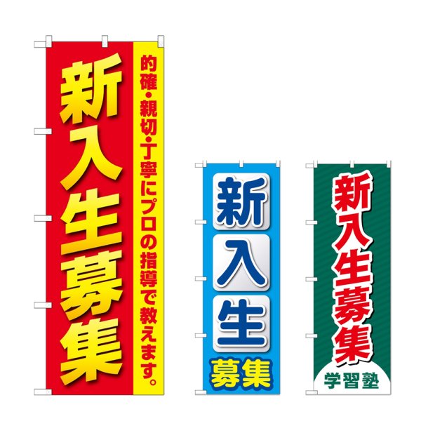 画像1: のぼり 新入生募集 (選べるデザイン) (1)