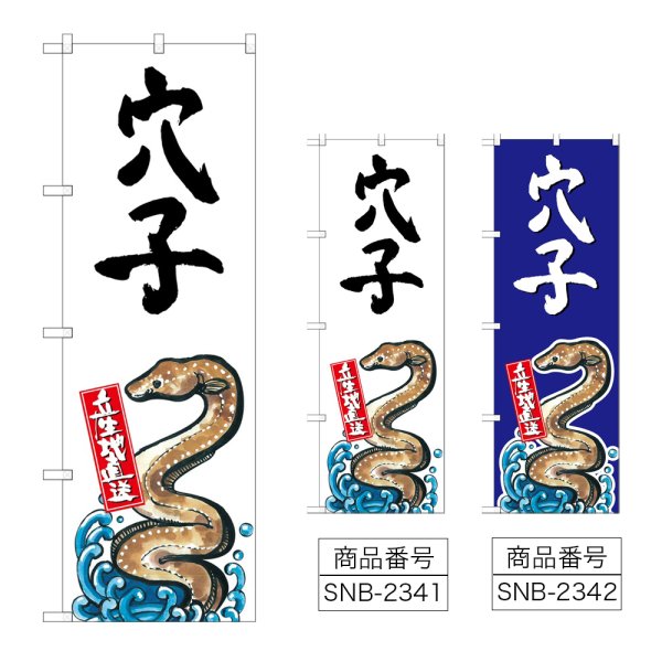画像1: のぼり 穴子 産地直送 (選べるデザイン) (1)