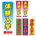 画像1: のぼり　体験入学 (選べるデザイン) V0052 (1)
