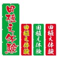 画像1: のぼり 田植え体験 (選べるデザイン) V0409 (1)