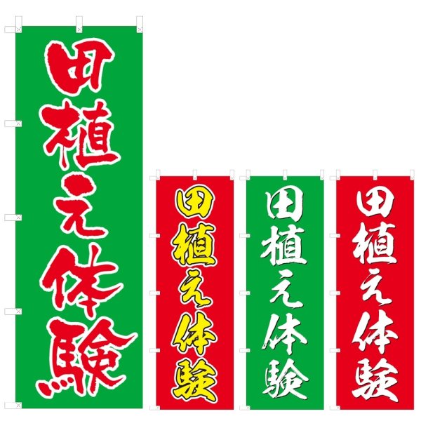 画像1: のぼり 田植え体験 (選べるデザイン) V0409 (1)
