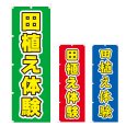 画像1: のぼり 田植え体験 (選べるデザイン) V0410 (1)