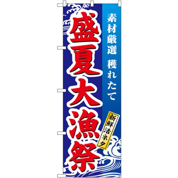 画像1: のぼり 盛夏大漁祭 1736 (1)