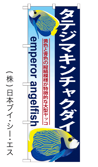 画像1: 【タテジマキンチャクダイ】のぼり旗 (1)
