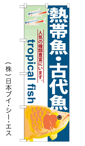 画像1: 【熱帯魚・古代魚】のぼり旗 (1)