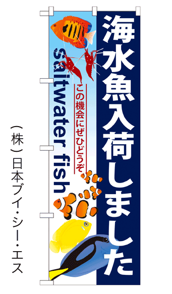 画像1: 【海水魚入荷しました】のぼり旗 (1)