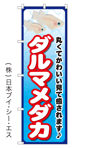 画像1: 【ダルマメダカ】のぼり旗 (1)