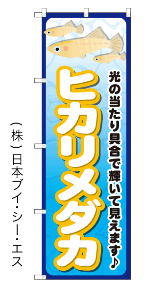画像1: 【ヒカリメダカ】のぼり旗 (1)