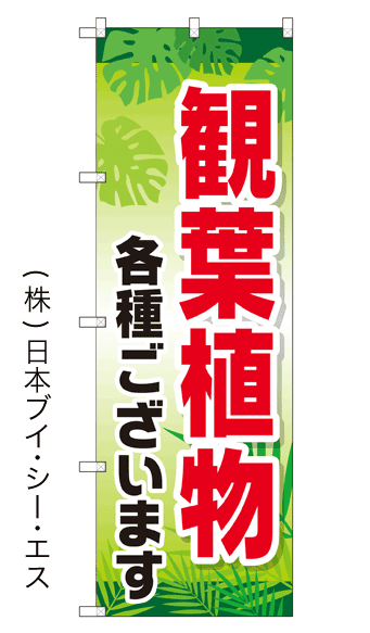 画像1: 【観葉植物】のぼり旗 (1)