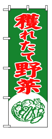 画像1: 【穫れたて野菜】のぼり旗 (1)