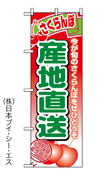 画像1: 【さくらんぼ産地直送】のぼり旗 (1)