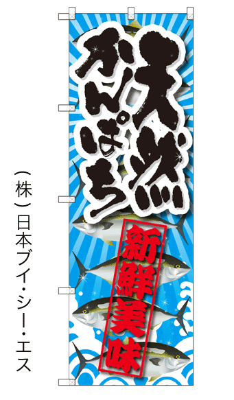 画像1: 【天然かんぱち】特価のぼり旗 (1)